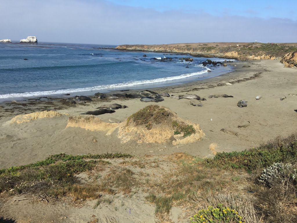 San Luis Obispo-Paso Robles, CA, CA, USA by György Farkas