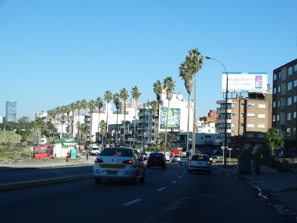 Paseando por Montevideo 7 by ivelbero