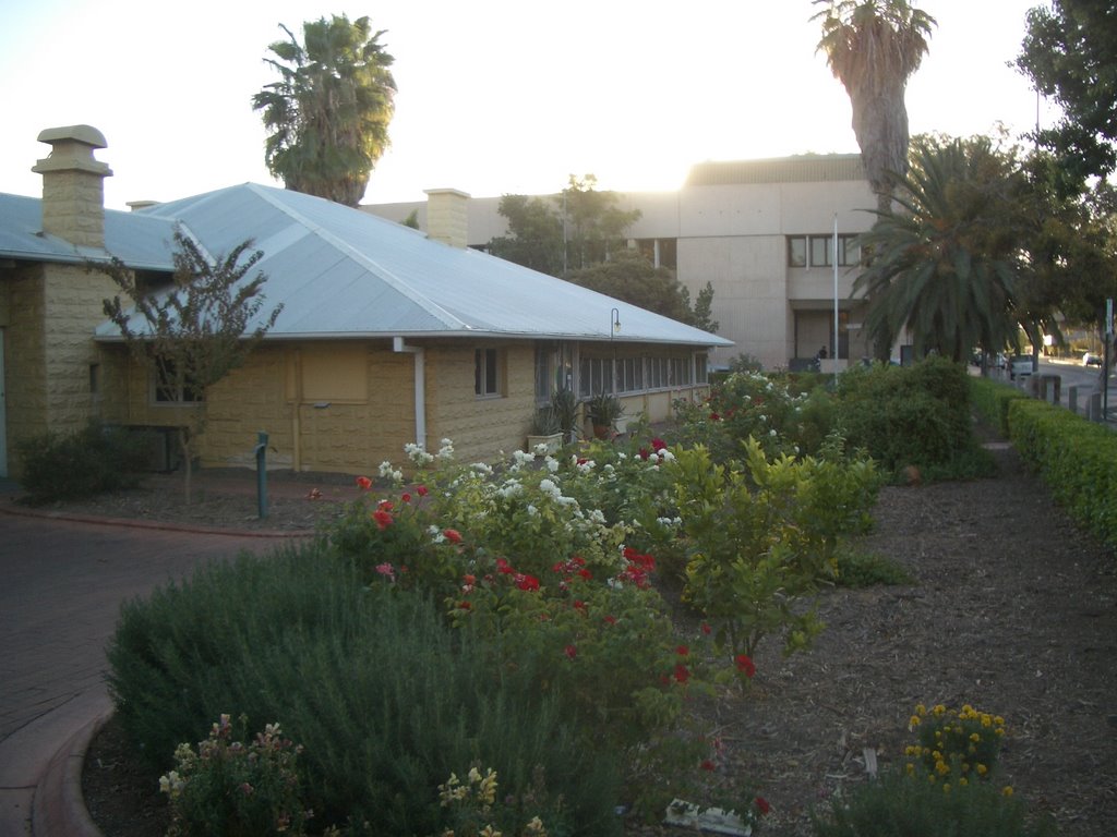 The old and the new, Alice Springs by Badgerise