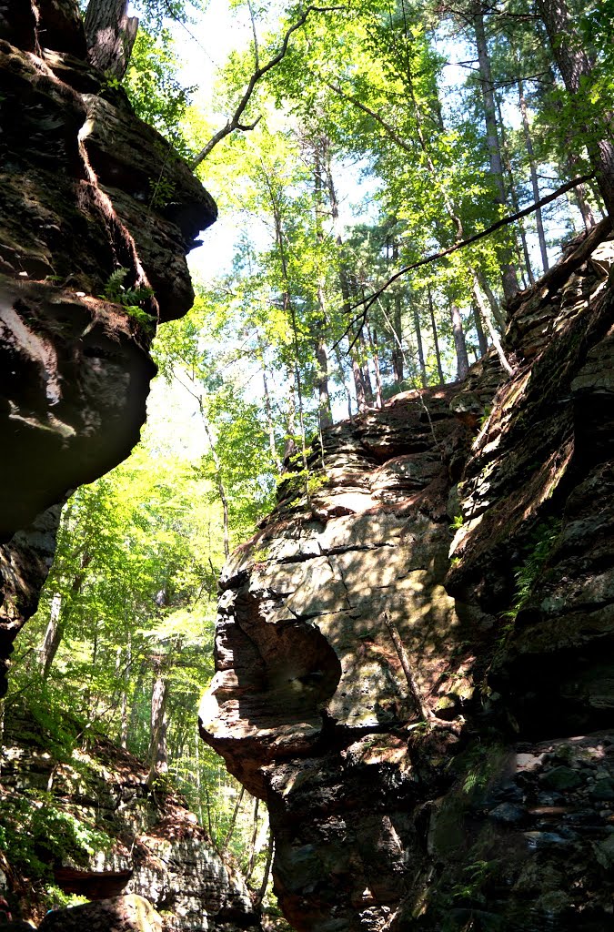 Parfrey's Glen by Erik Wanta