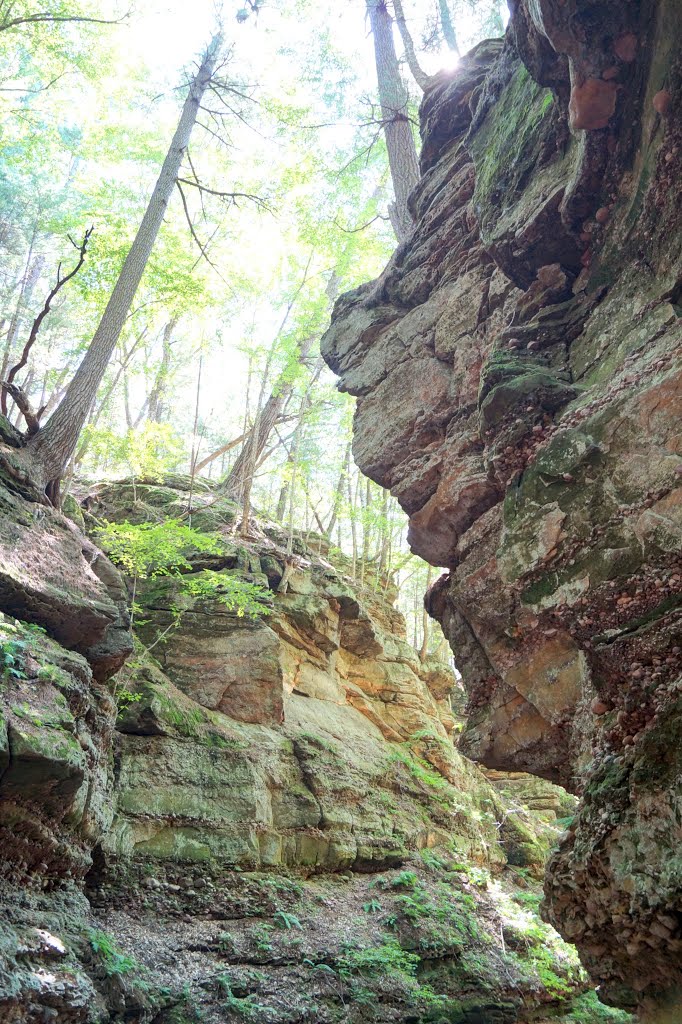 Parfrey's Glen by Erik Wanta