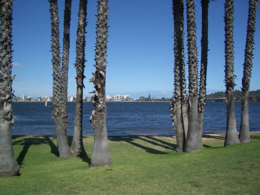 View across the Swan River by Badgerise