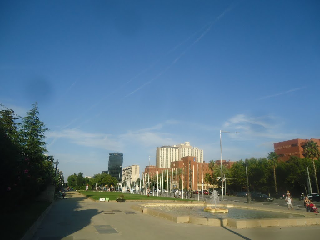 Avenida Diagonal - Barcelona - España by Pedro Miguel Barrius…