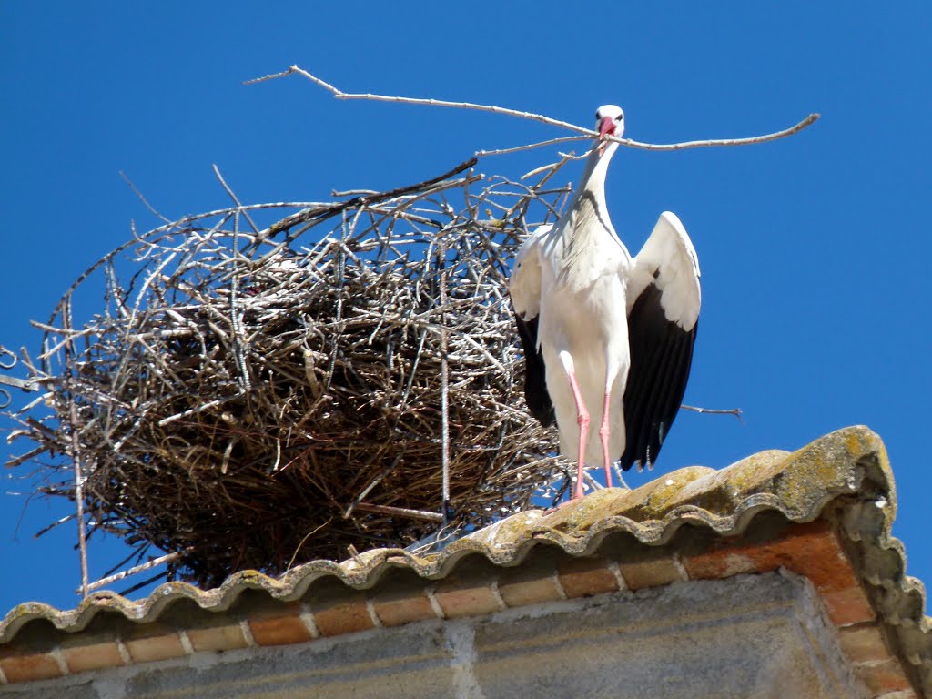 LA CABRERA (Madrid). 2015. 244. Arreglando una averia casera. by Carlos Sieiro del Ni…