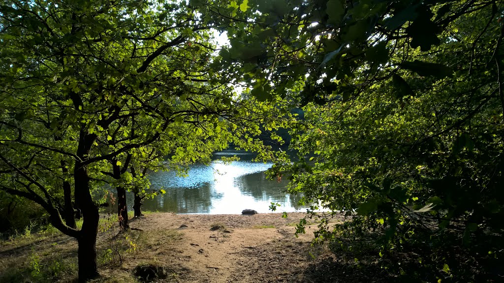 Hanau, Großauheim, Neuwirtshaus, Anglersee, 2015 by Holger Hagen