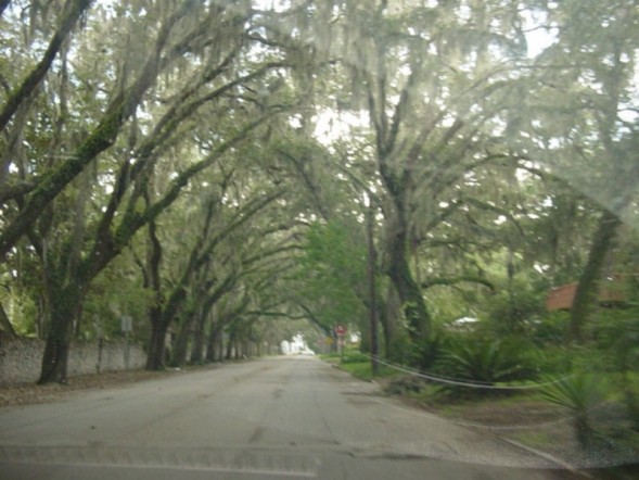 St Augustine, FL, USA by marc smender