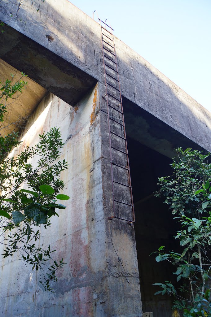 Estrada da Petrobras - Salesópolis a Caraguatatuba - SP (Viaduto abandonado) by Andre Pimentel