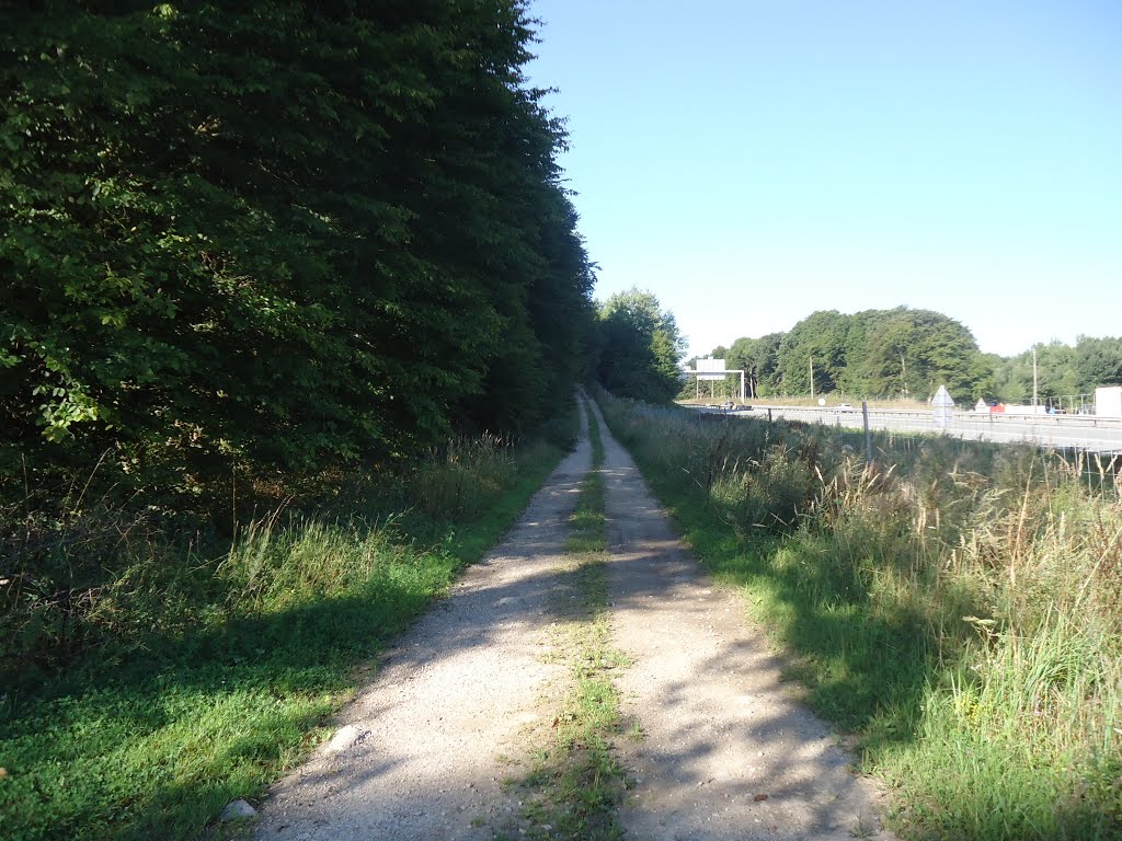 Chemin au bord du bois de Guerre vers Rang by Claudius B.