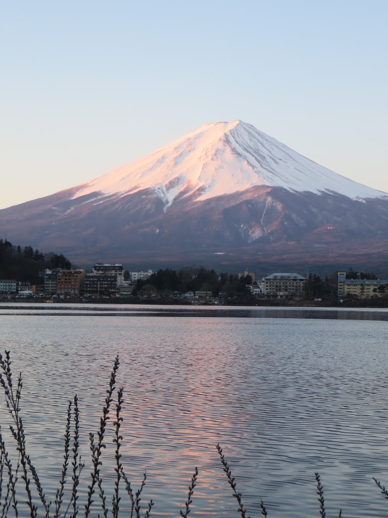 Azagawa, Fujikawaguchiko, Minamitsuru District, Yamanashi Prefecture 401-0303, Japan by Dần Lê