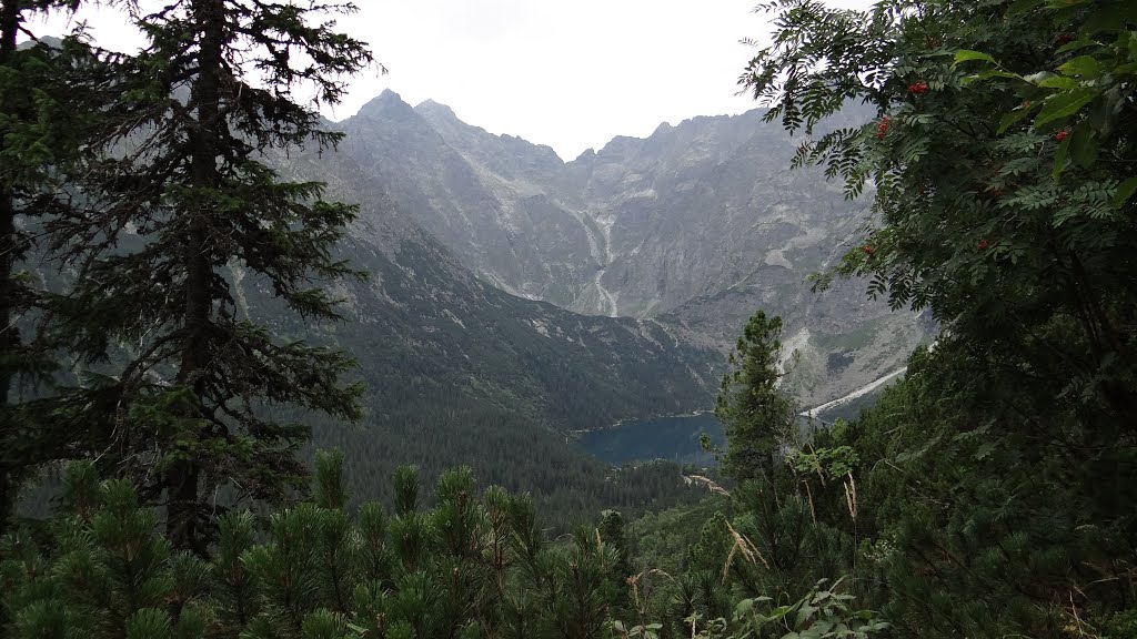 Polska, Tatry, by Robert Pomarański