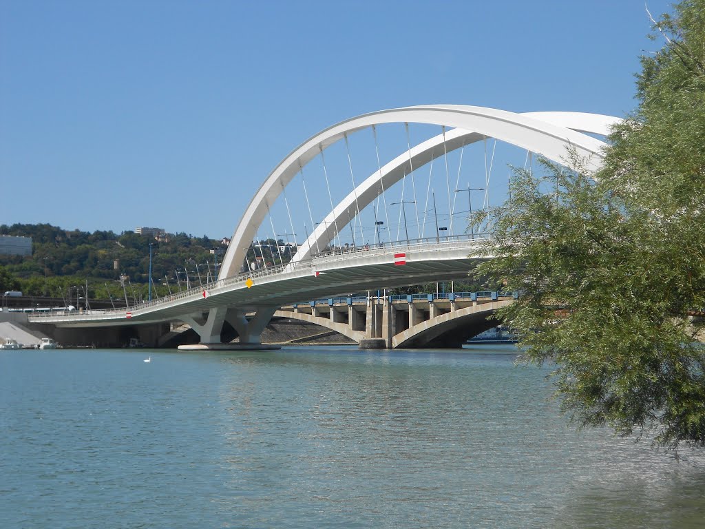 Pont Raymond Barre by theo travaille