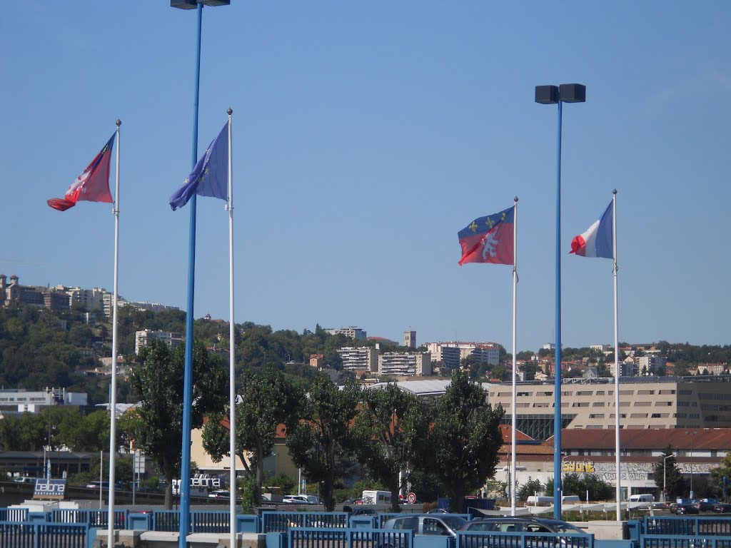 Drapeaux du Pont Pasteur by theo travaille