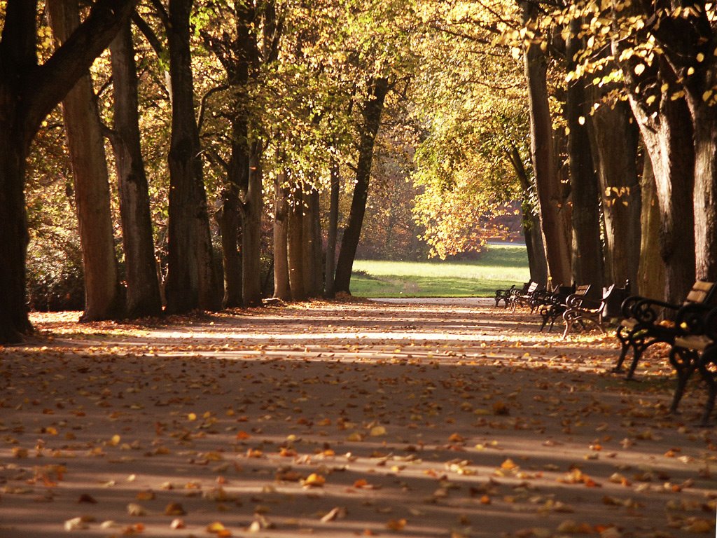 Rombergpark, Dortmund, Germany by EVogt