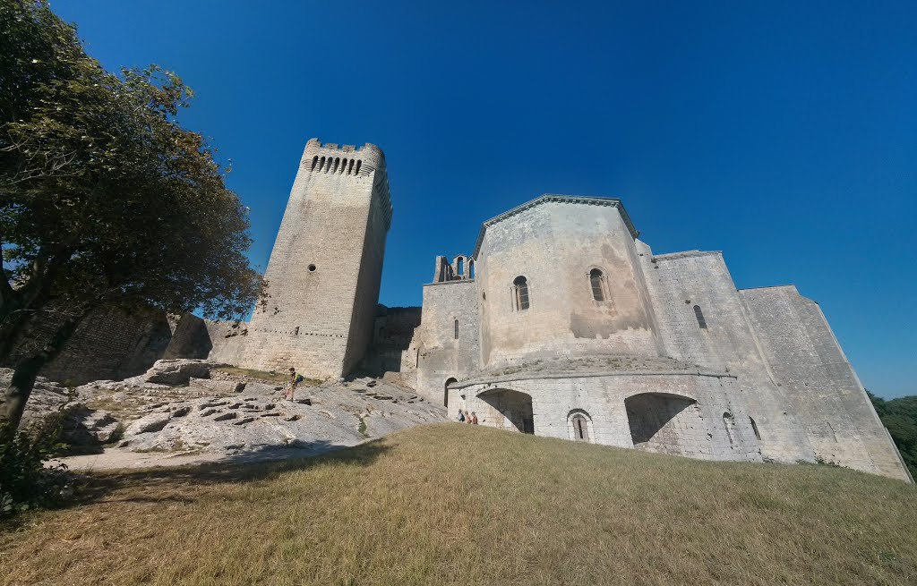 Montmajour abbey, near Arles by Pangasio Migratore