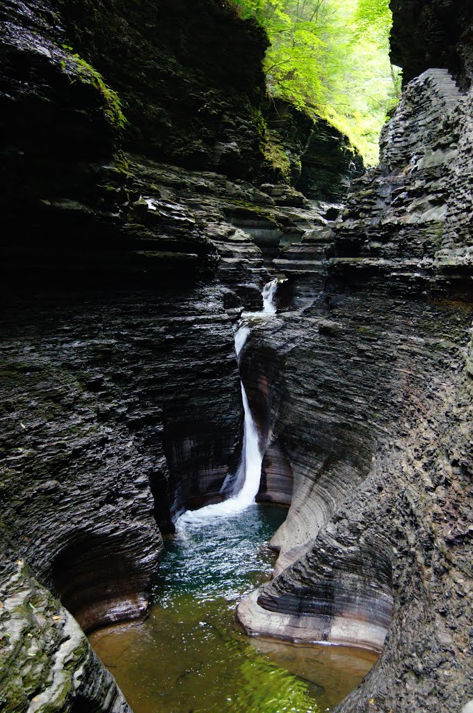 Watkins Glen by Christina Wood-White