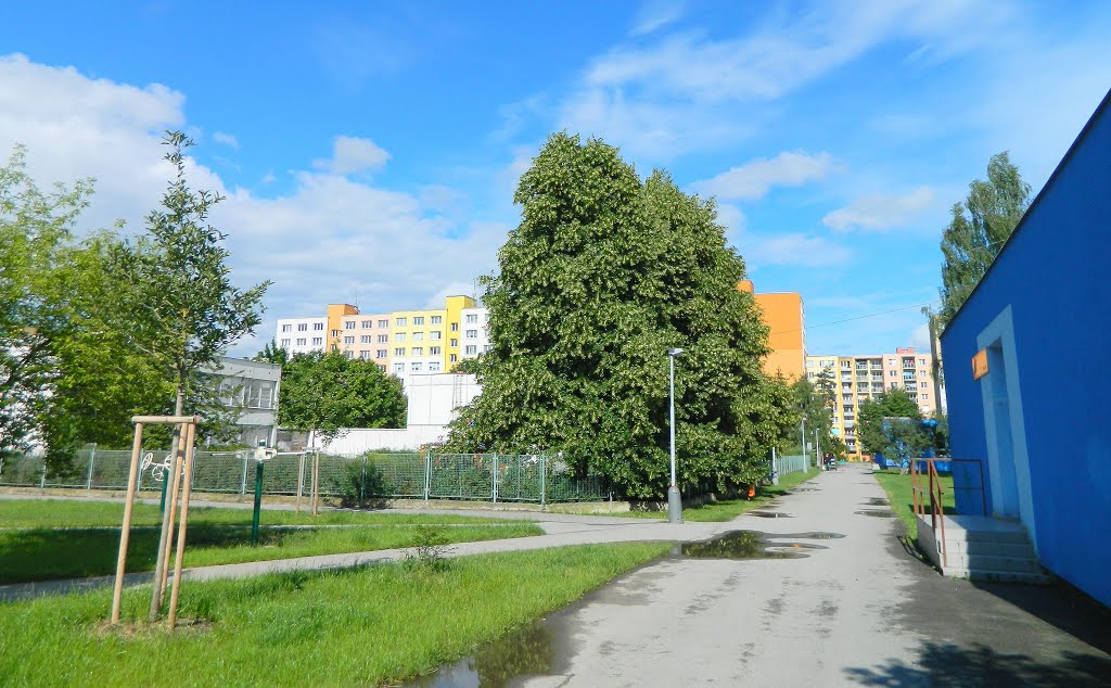 Sídliště Vltava. Ulice u základní školy / Housing estate Vltava. Street at primary school by petr59