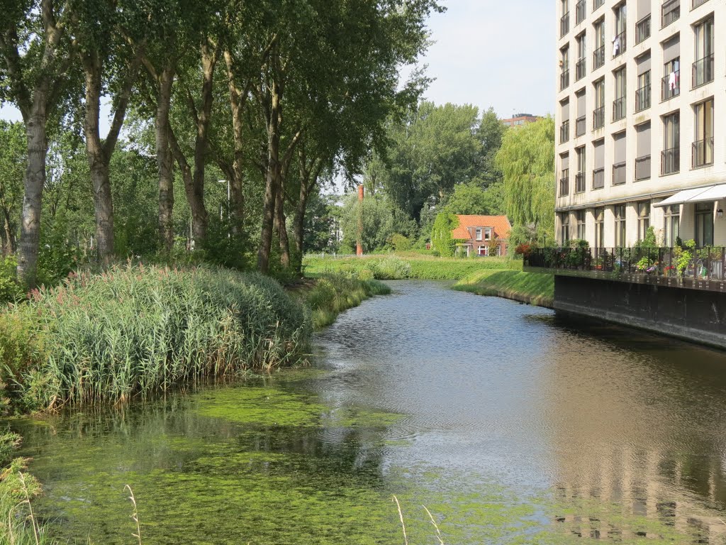 Zicht vanaf de Bijdorplaan op nieuwbouw en begroeid huisje op de achtergrond by Piet Guijt