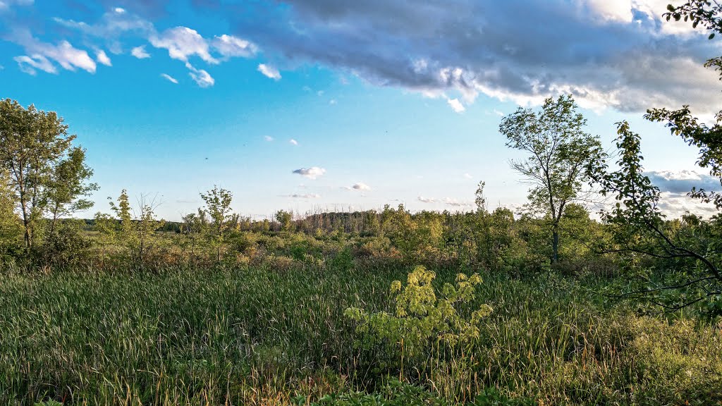 Lake Mills State Wildlife Area by Aaron Carlson