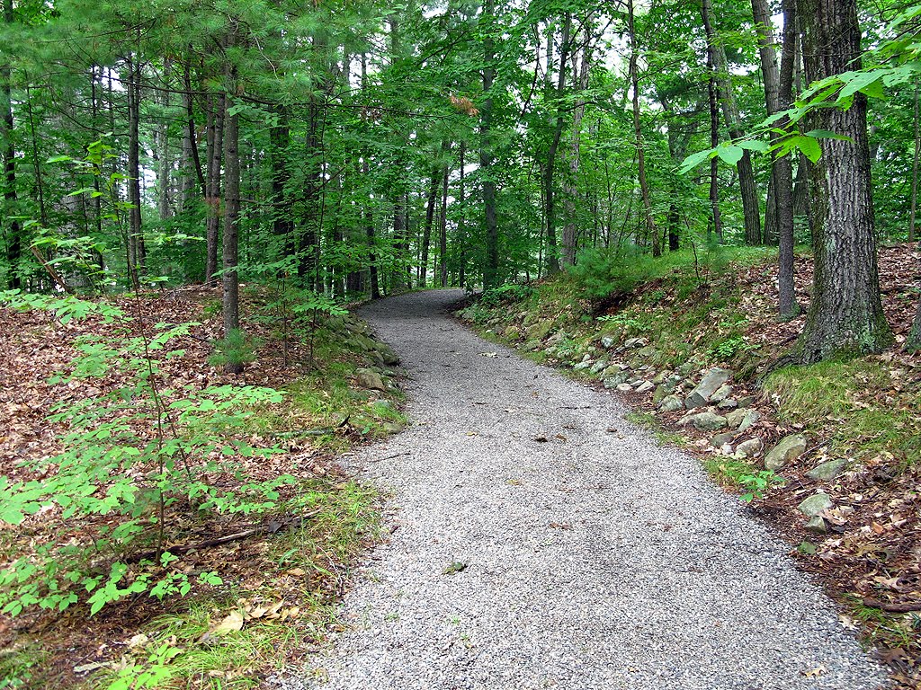 Path Through the Garden by Tom Choma