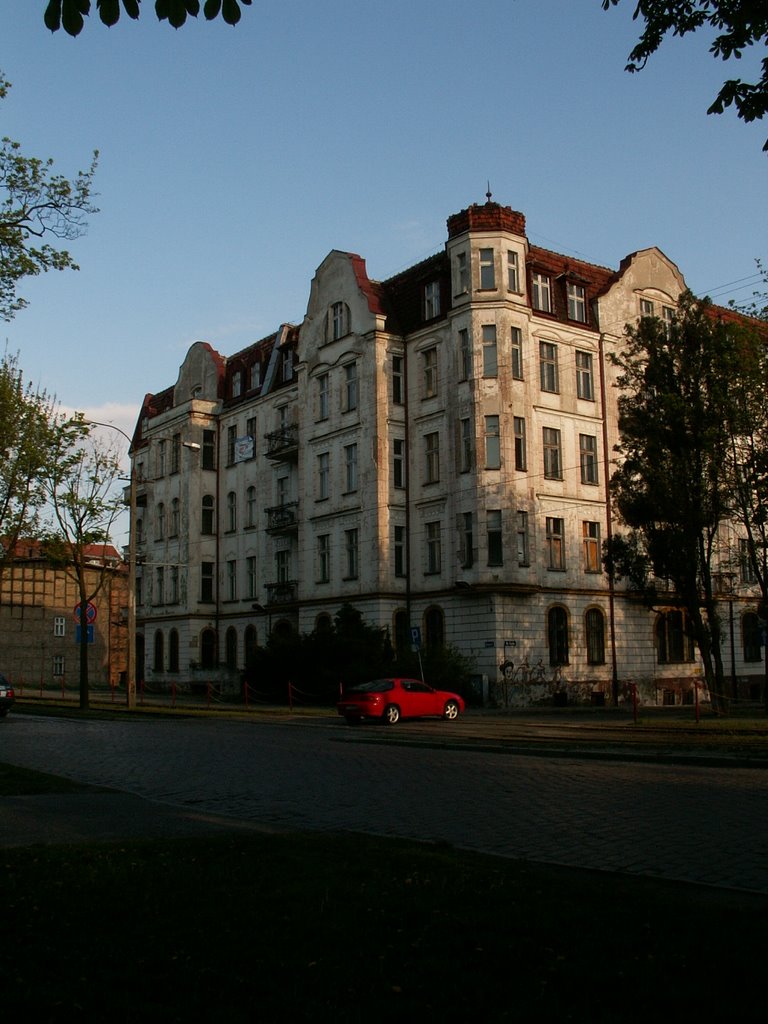 Thorn, Bydgoska street / Toruń, ul. Bydgoska by cvn i tapir