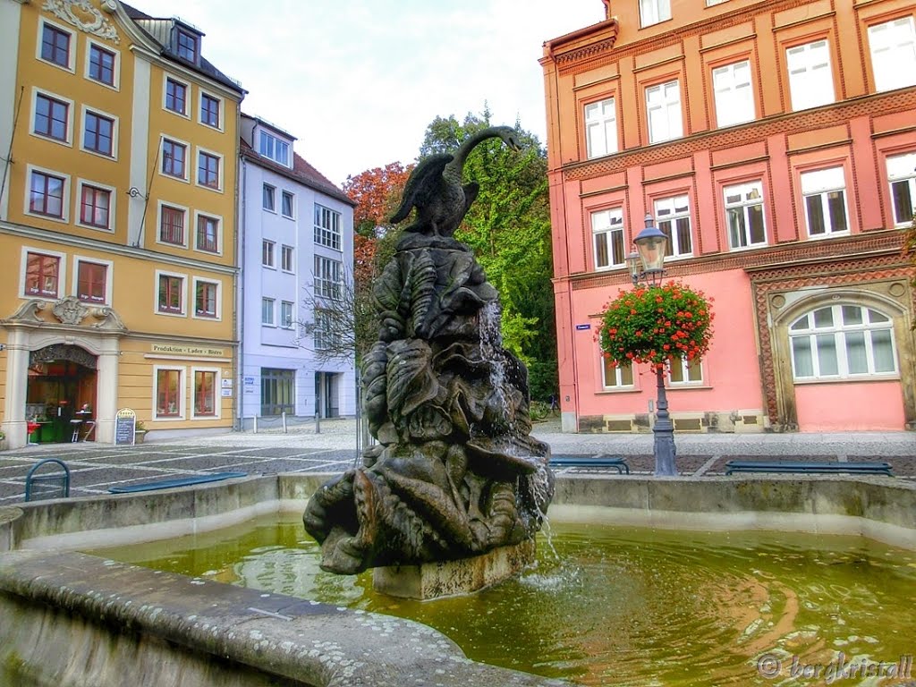 Schwanenbrunnen by bergkristall Harz