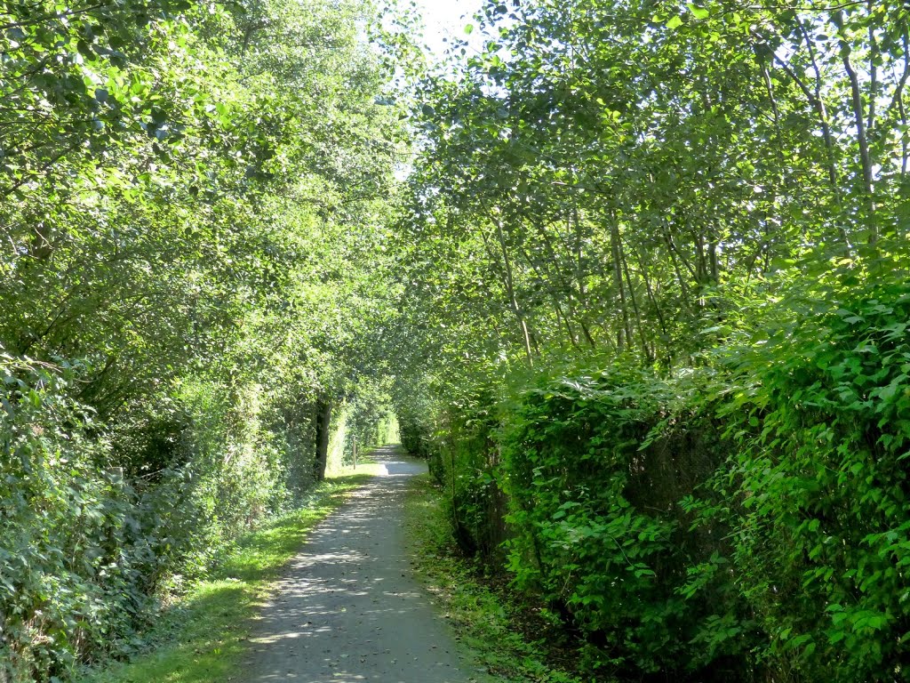 Péronne-en-mélantois - Le marais by epaulard59