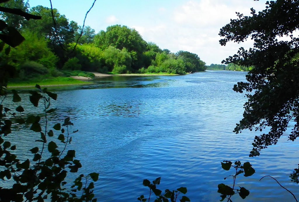 La Dordogne à St Antoine de Breuilh by pauldeville