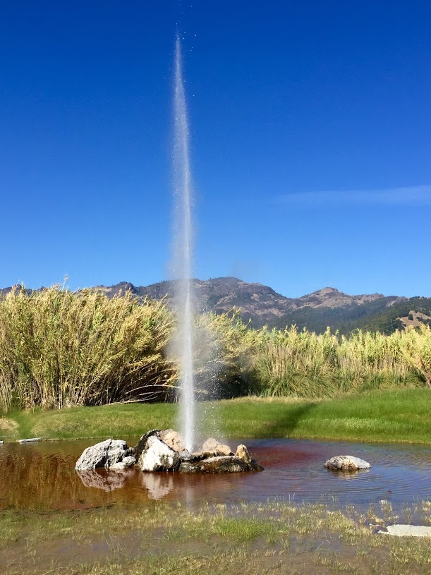 Old Faithful Geyser of California by Vinod Palan