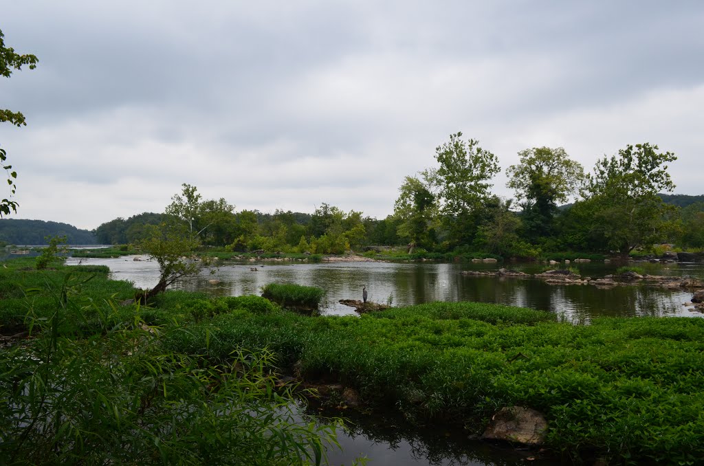 Potomac River by Ryan Mori