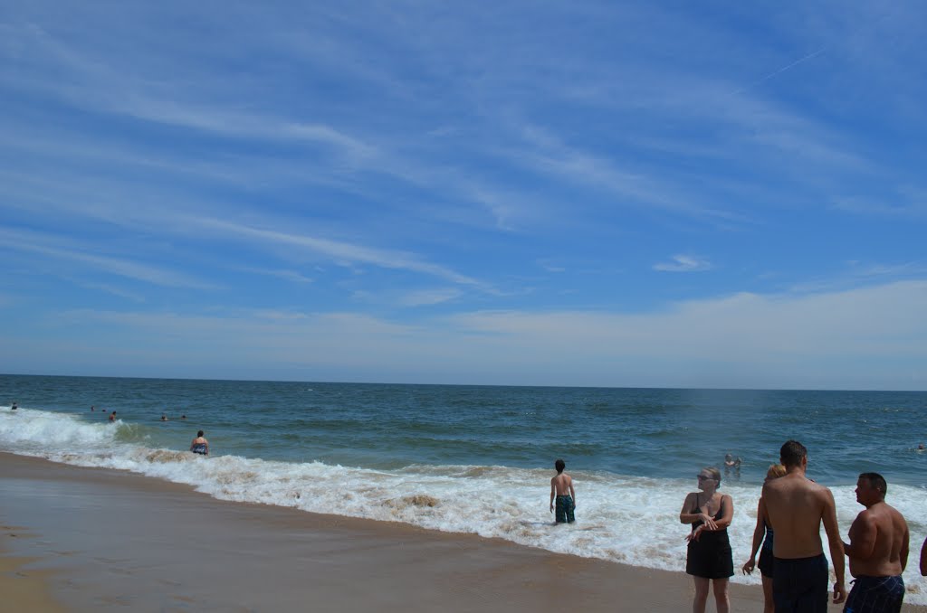 Beach on the Transpeninsular Line by Ryan Mori