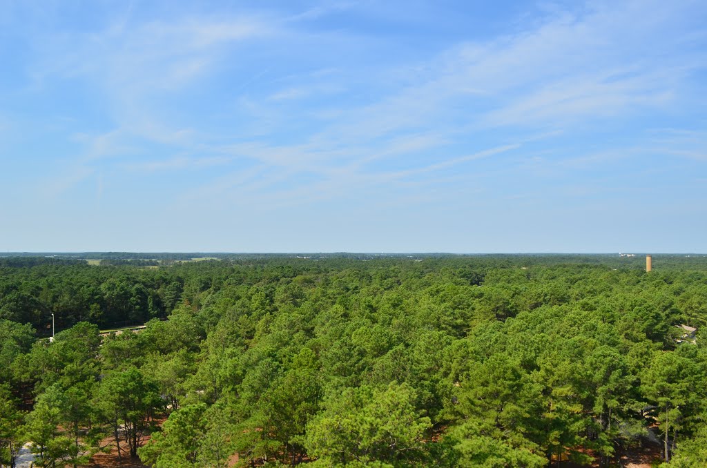 Cape Henlopen State Park by Ryan Mori