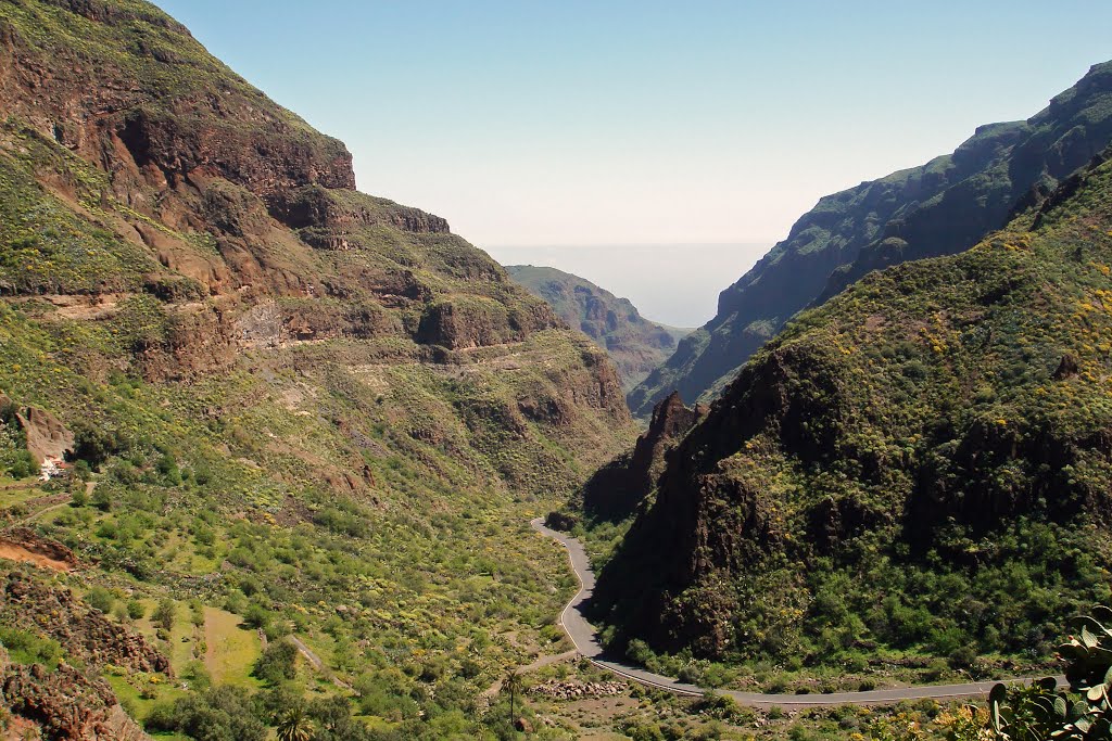 Barranco de Guayadeque /Agüimes, Gran Canaria, Spain by slrCHEF