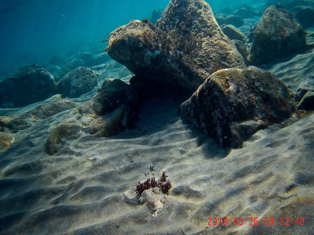 Cala del Corralete, Cabo de Gata, Nanando entre los peces, Almería by José Angel De la pec…