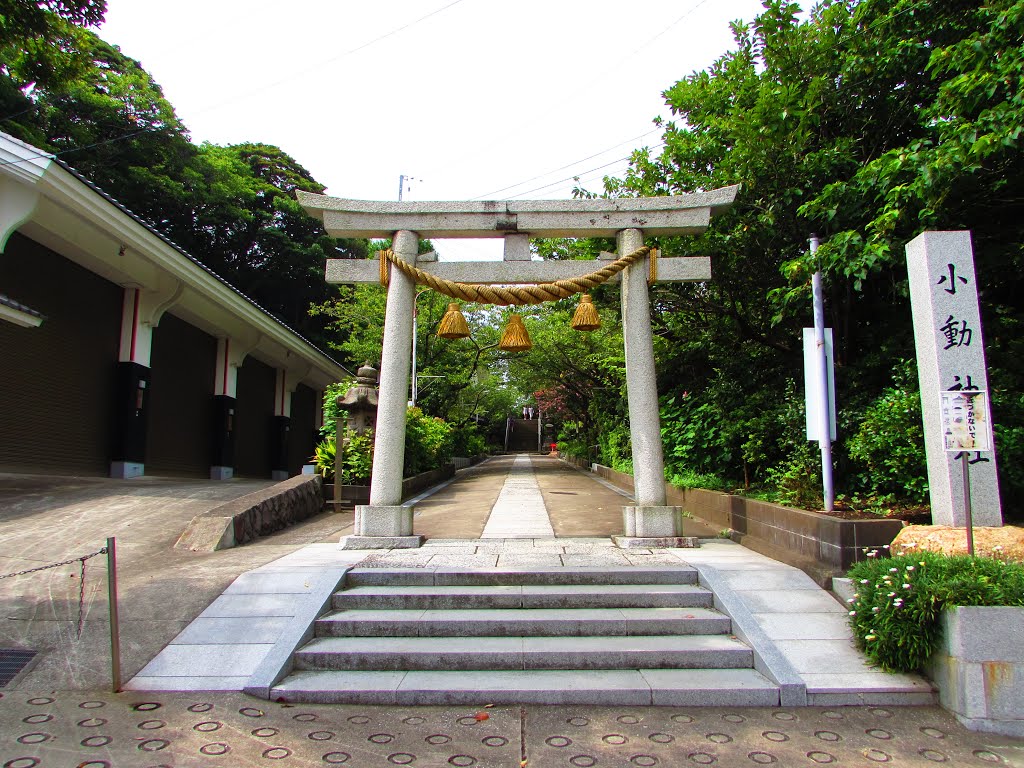 鎌倉～江ノ島 小動(こゆるぎ)神社 鳥居 by moyashi21