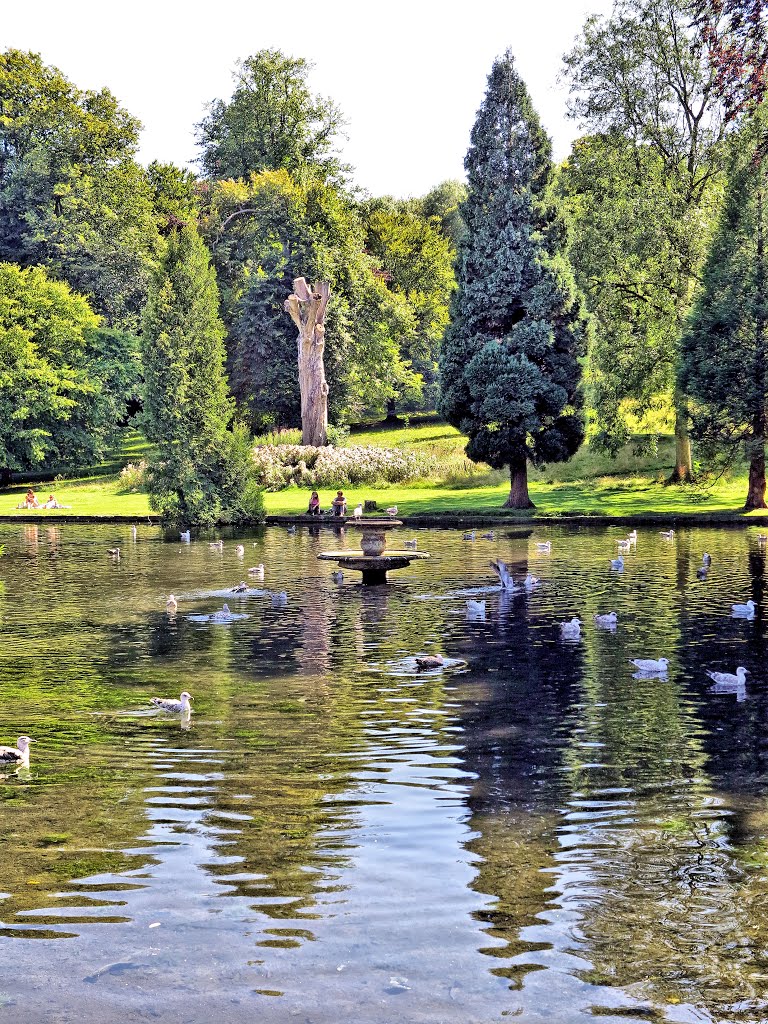 Abbey Lake, Kearsney Abbey, Temple Ewell, Dover by David J Carr Photogr…