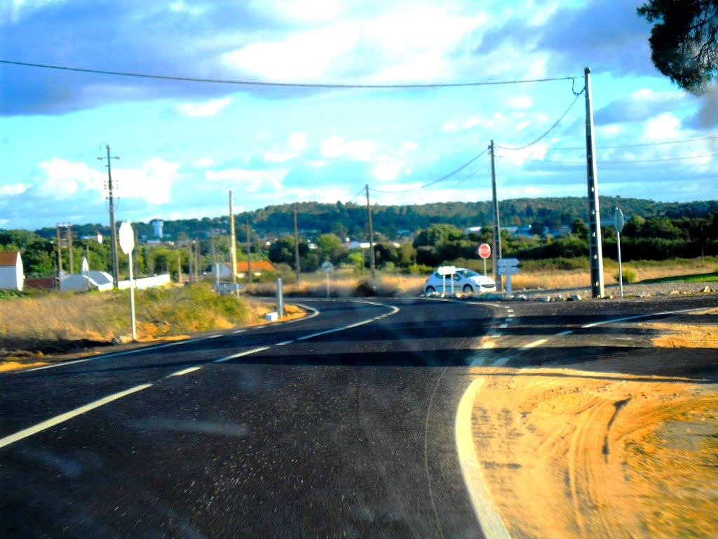 Estrada Municipal de Couço - Coruche (Santarém - Portugal) by Pedro Fernandes