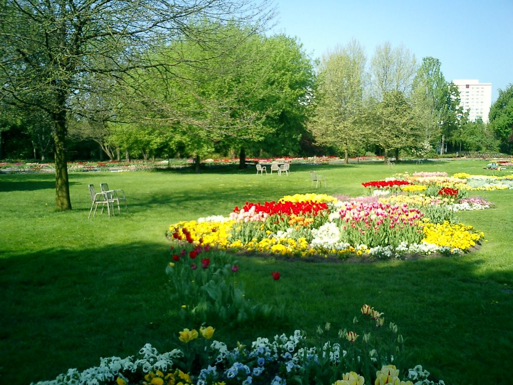 Zur Tulpenblüte by Angelic