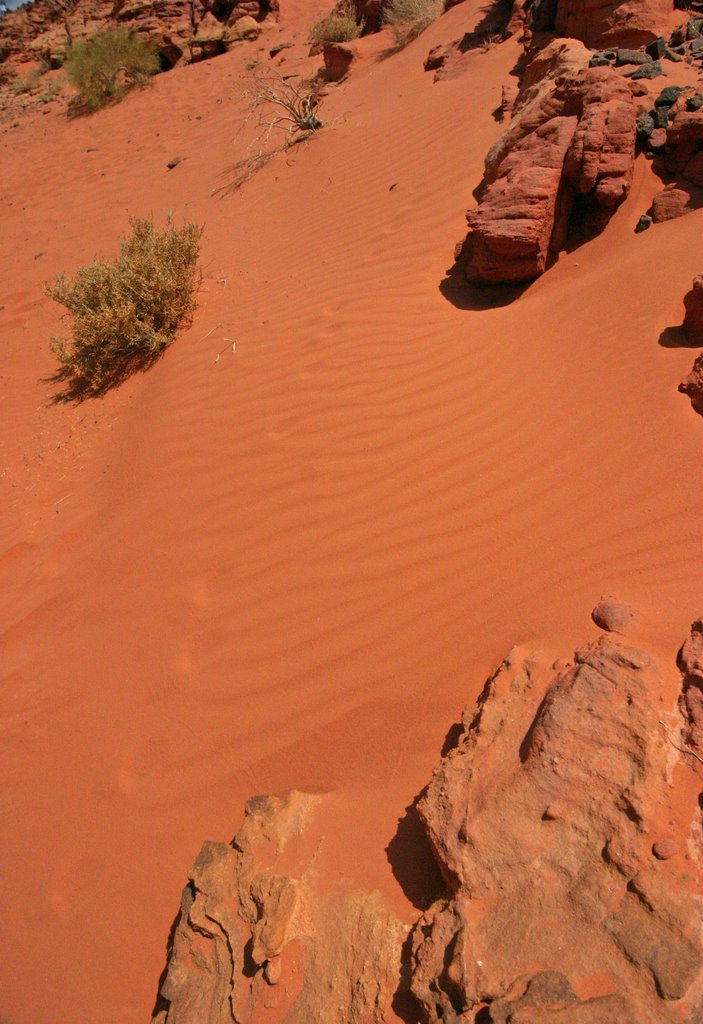 Giordania - Wadi Rum by guido asnaghi