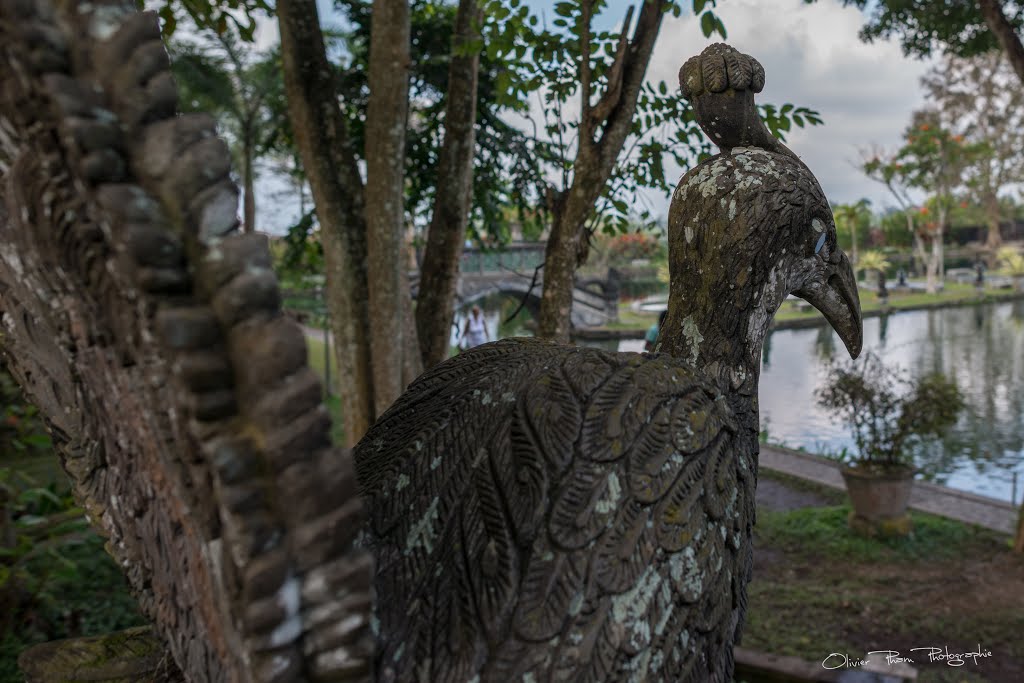 Ababi, Abang, Karangasem Regency, Bali, Indonesia by olivier pham