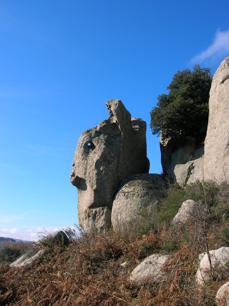 Rocche dell'Argimusco 2 by ivan alicata