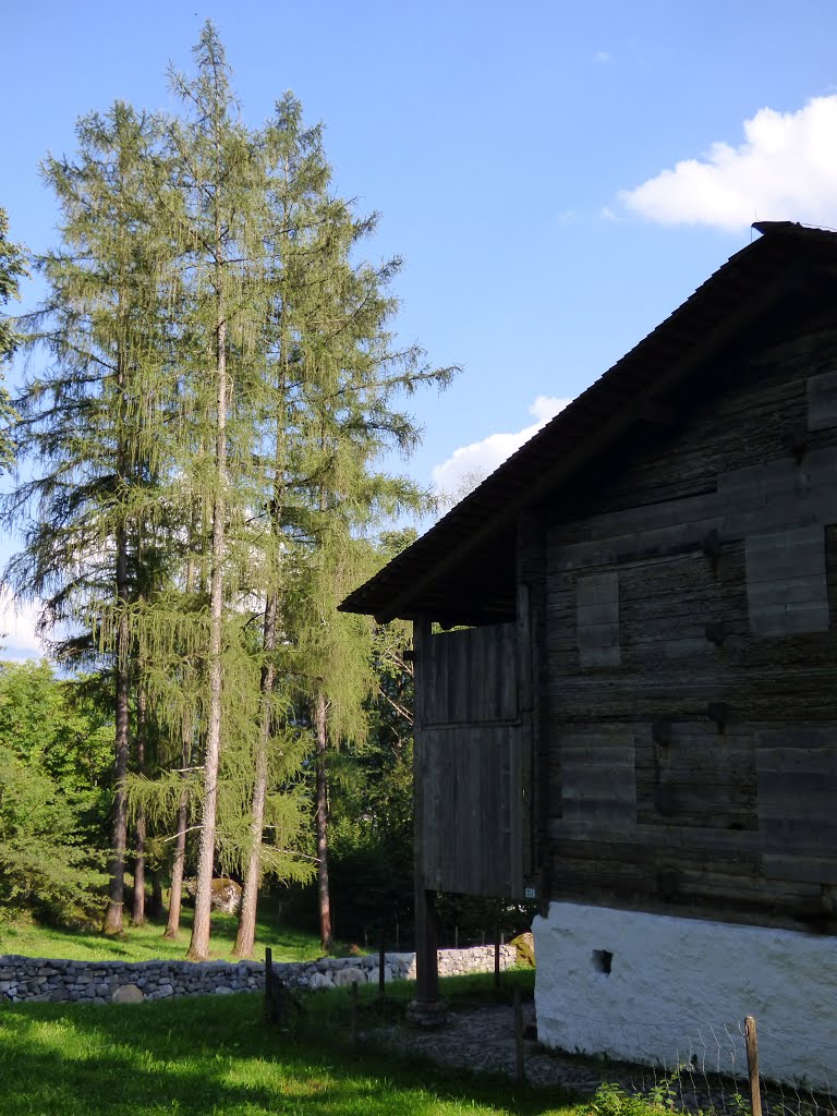 Hofstetten bei Brienz, Switzerland by duchmurz