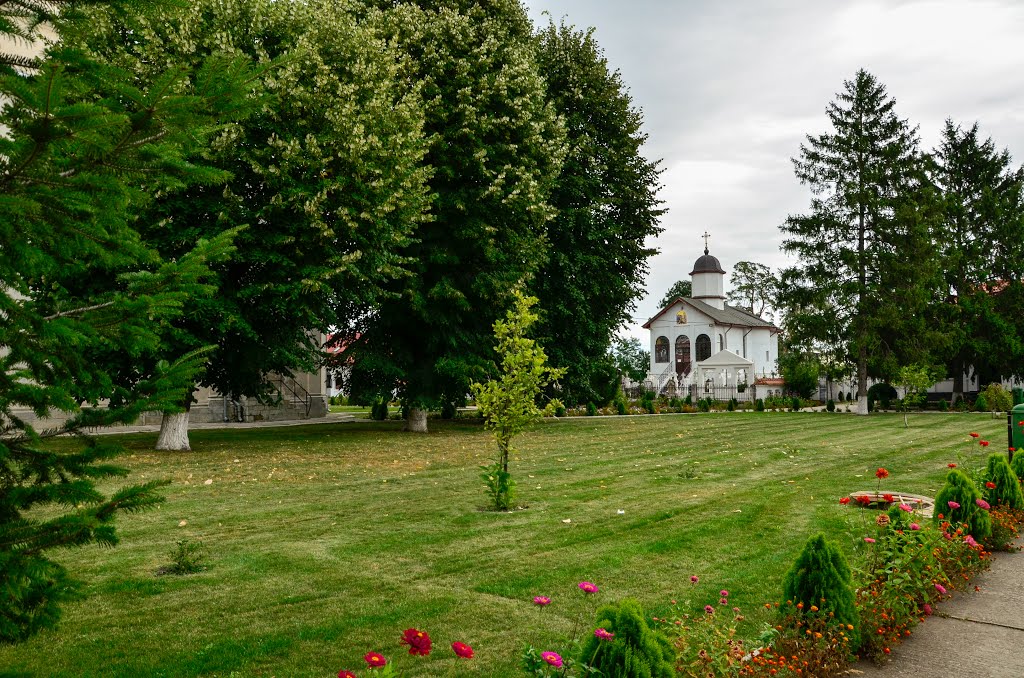 Ghighiu 107056, Romania by Marian Dobre