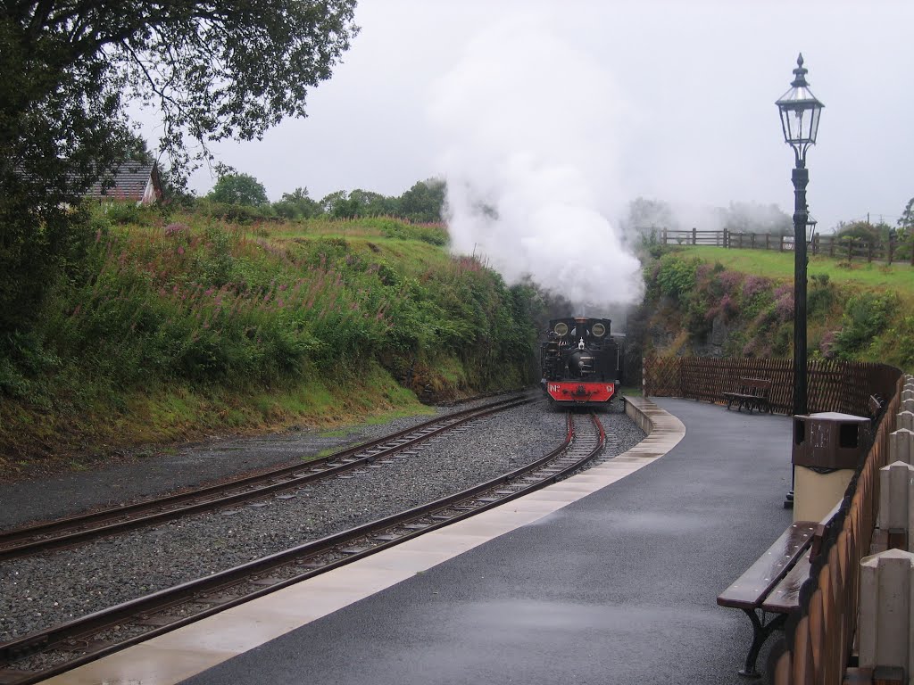 Vale of Rheidol Railway by ferrocarta.net