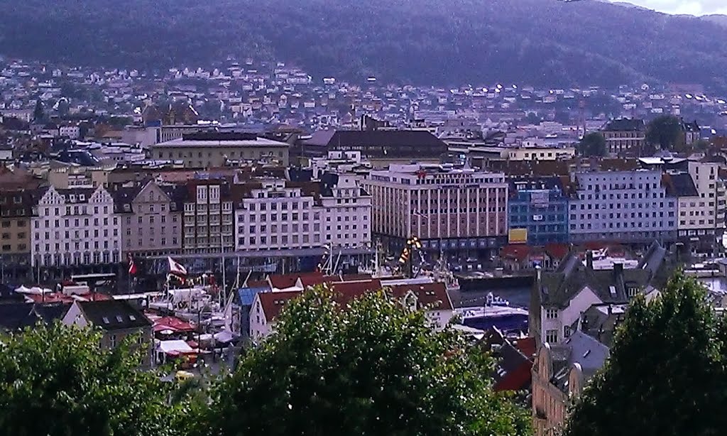 Fjellet Nord, Bergen, Norway by Denis Frolov