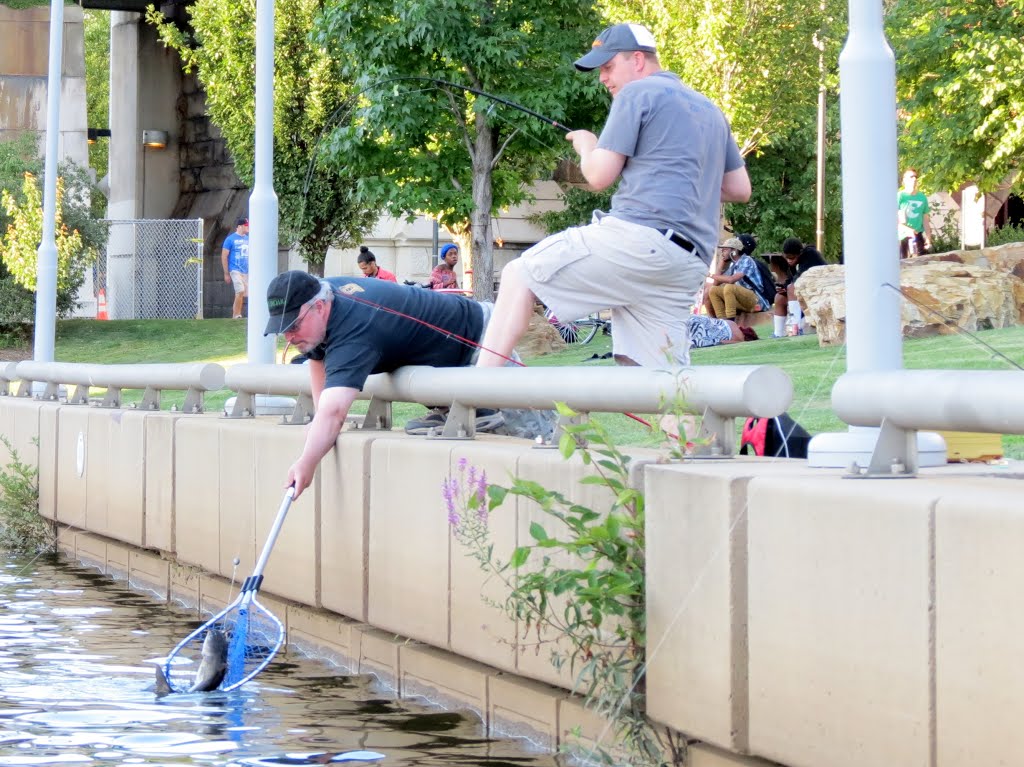 Catching Fish by Lane Fike