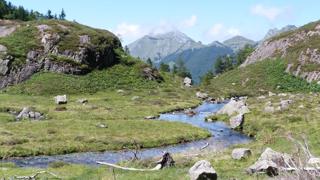 Ruisseau du Garbet à Garbettou;alt:1400m by laurent Delépine