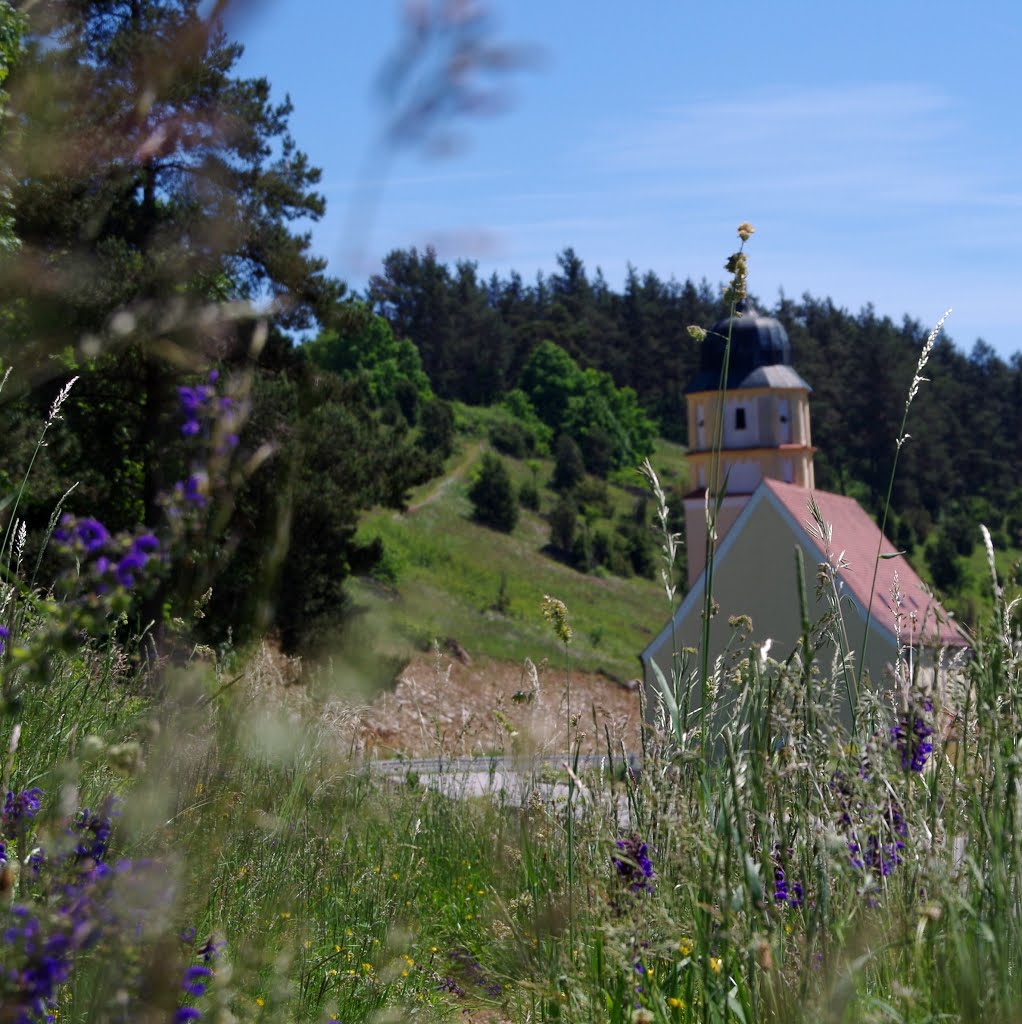 Jurasteig im Lauterachtal – Stettkirchen (Hohenburg) by gehsport