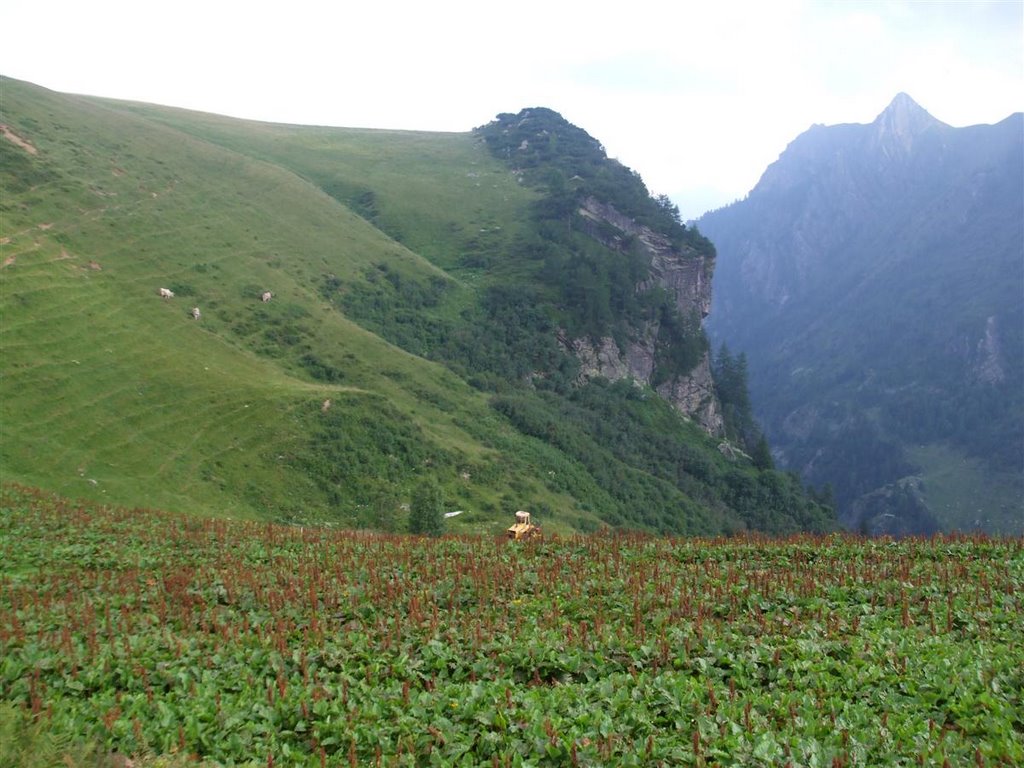 PASSO S. MARCO by UMBERTO E BARBARA