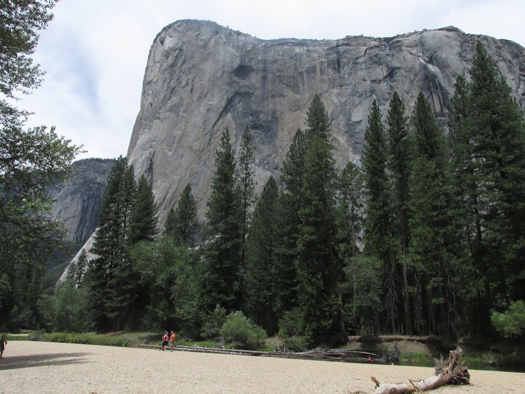 Spectacular, Towering Walls Of The Sierra Nevada In Yosemite National Park, California Jul '15 by David Cure-Hryciuk