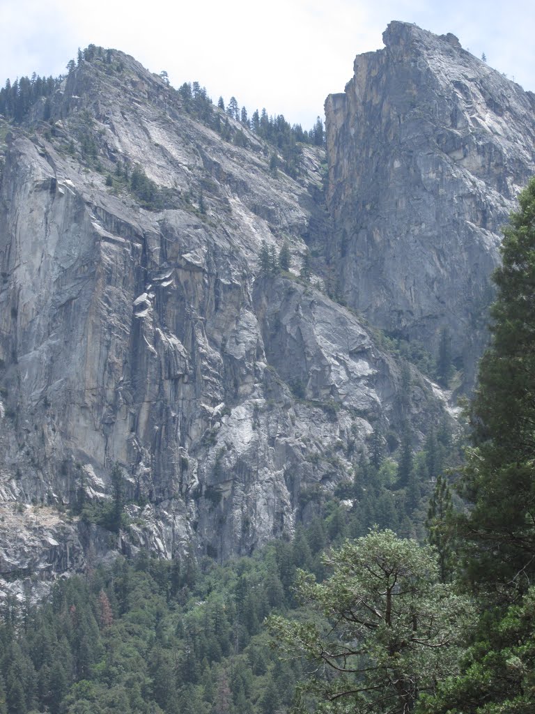 Steep Granite Cliffs Towering Above The Valley In Yosemite National Park, California Jul '15 by David Cure-Hryciuk